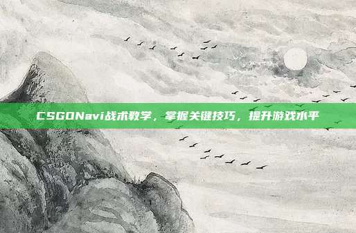 CSGONavi战术教学,掌握关键技巧,提升游戏水平