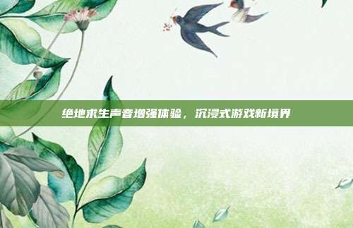绝地求生声音增强体验,沉浸式游戏新境界