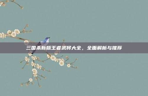三国杀新版王者武将大全,全面解析与推荐