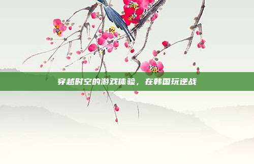 穿越时空的游戏体验,在韩国玩逆战
