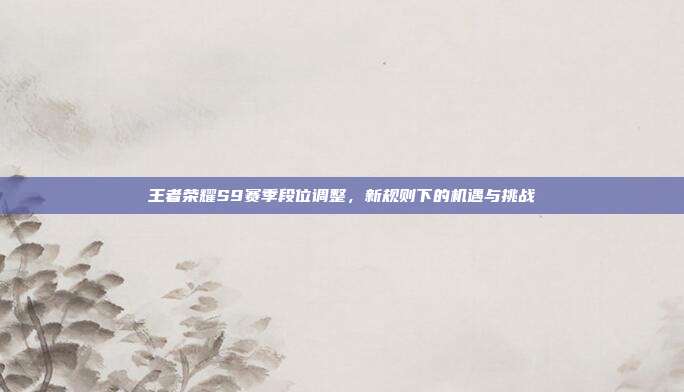 王者荣耀S9赛季段位调整,新规则下的机遇与挑战