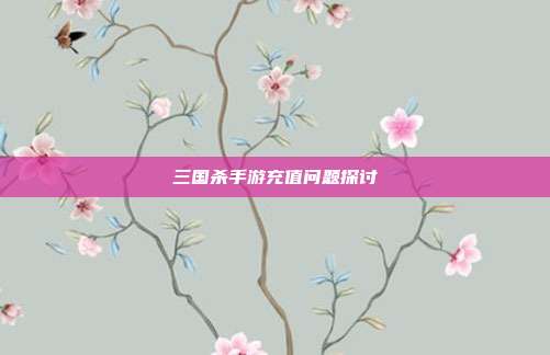 三国杀手游充值问题探讨
