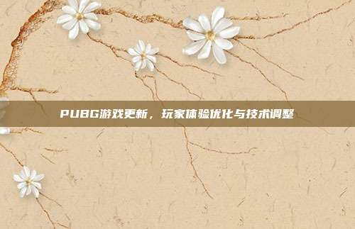 PUBG游戏更新,玩家体验优化与技术调整