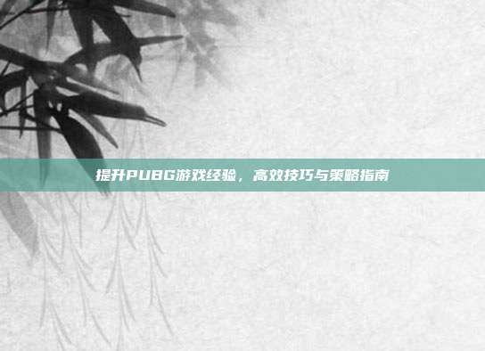 提升PUBG游戏经验,高效技巧与策略指南