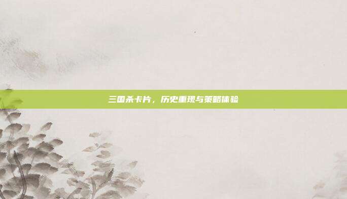 三国杀卡片,历史重现与策略体验