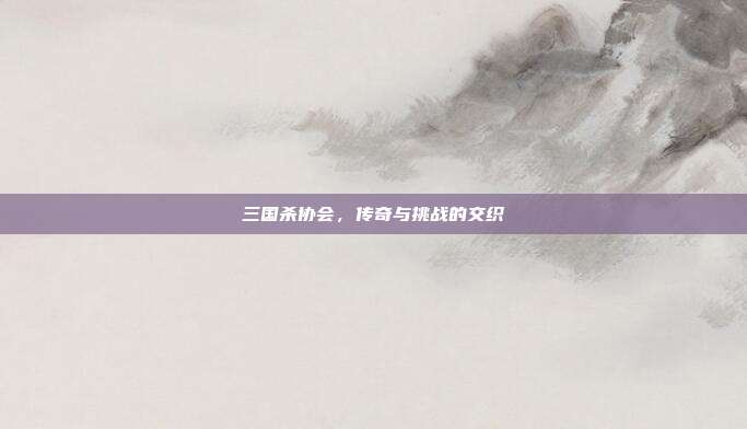 三国杀协会,传奇与挑战的交织