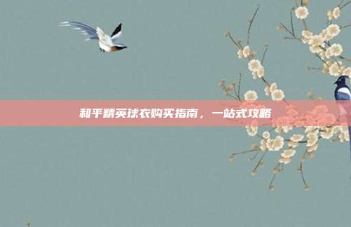 和平精英球衣购买指南,一站式攻略