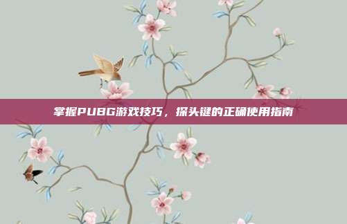 掌握PUBG游戏技巧,探头键的正确使用指南
