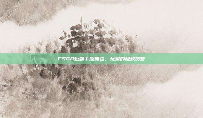 CSGO短剑手感体验,玩家的极致赞誉