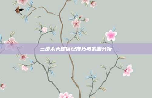 三国杀天梯搭配技巧与策略分析