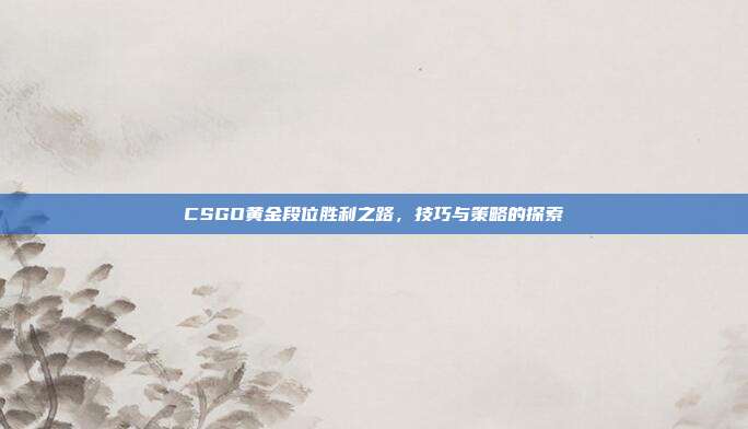 CSGO黄金段位胜利之路,技巧与策略的探索