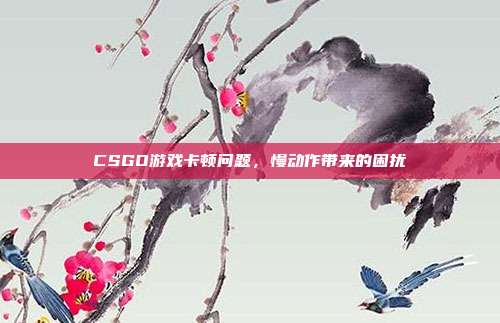 CSGO游戏卡顿问题,慢动作带来的困扰