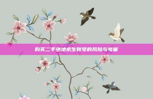 购买二手绝地求生账号的风险与考量