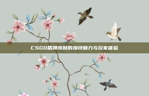 CSGO盾牌皮肤的独特魅力与玩家体验