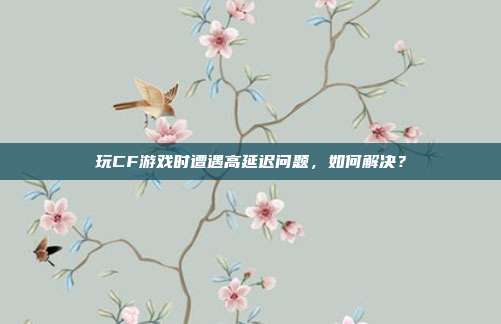 玩CF游戏时遭遇高延迟问题,如何解决?