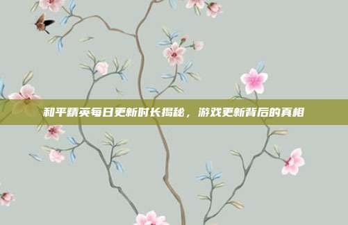 和平精英每日更新时长揭秘,游戏更新背后的真相