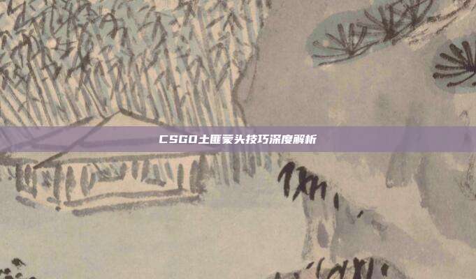 CSGO土匪蒙头技巧深度解析