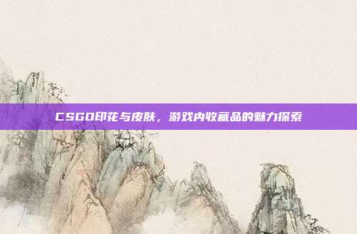 CSGO印花与皮肤,游戏内收藏品的魅力探索