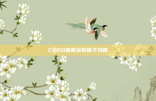CSGO国服获取箱子攻略