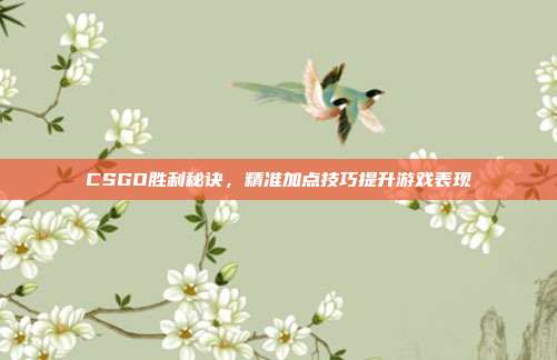 CSGO胜利秘诀,精准加点技巧提升游戏表现
