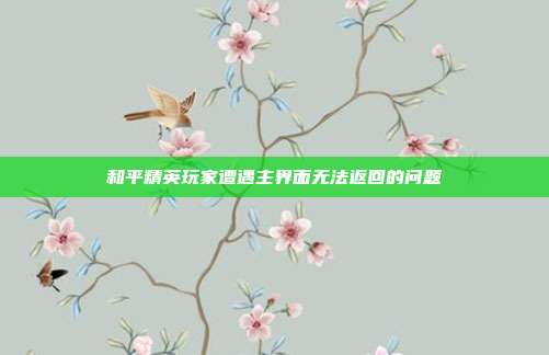 和平精英玩家遭遇主界面无法返回的问题
