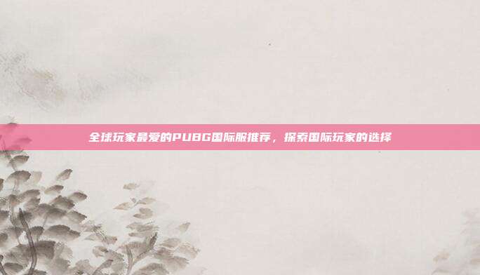 全球玩家最爱的PUBG国际服推荐,探索国际玩家的选择