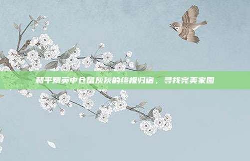 和平精英中仓鼠灰灰的终极归宿,寻找完美家园