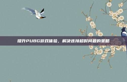 提升PUBG游戏体验,解决连接超时问题的策略
