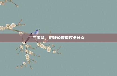 三国杀,田豫的智勇双全传奇