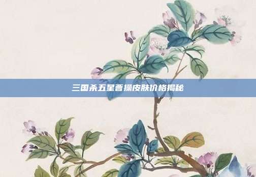三国杀五星曹操皮肤价格揭秘