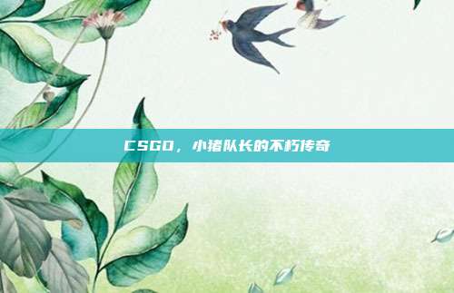 CSGO,小猪队长的不朽传奇