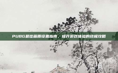 PUBG最佳画质设置指南,提升游戏体验的终极攻略