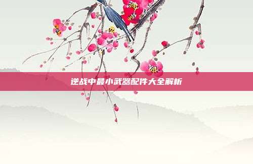 逆战中最小武器配件大全解析