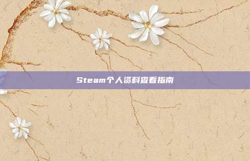 Steam个人资料查看指南