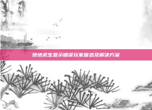 绝地求生显示错误玩家困惑及解决方案