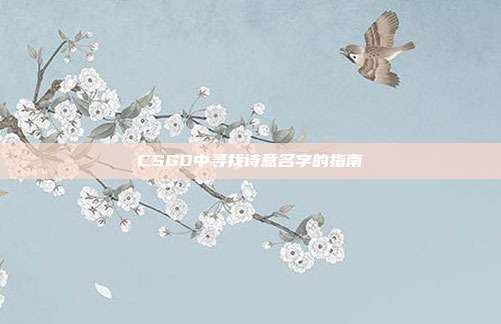 CSGO中寻找诗意名字的指南