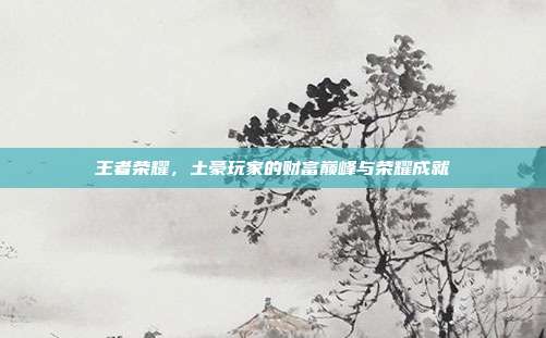 王者荣耀,土豪玩家的财富巅峰与荣耀成就
