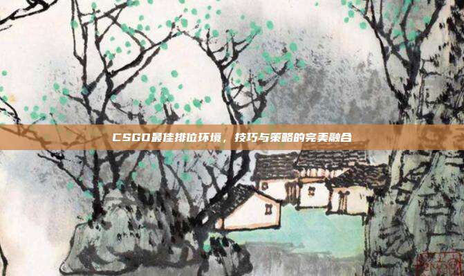 CSGO最佳排位环境,技巧与策略的完美融合