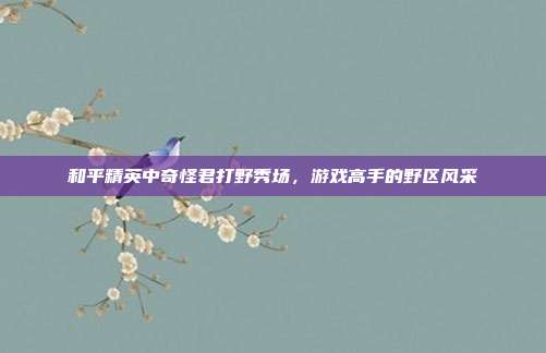 和平精英中奇怪君打野秀场,游戏高手的野区风采