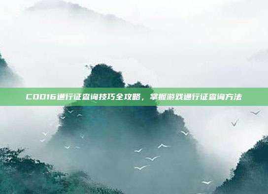 COD16通行证查询技巧全攻略,掌握游戏通行证查询方法