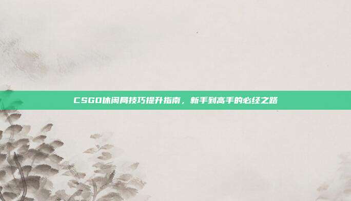 CSGO休闲局技巧提升指南,新手到高手的必经之路