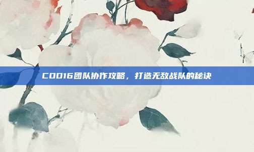 COD16团队协作攻略,打造无敌战队的秘诀