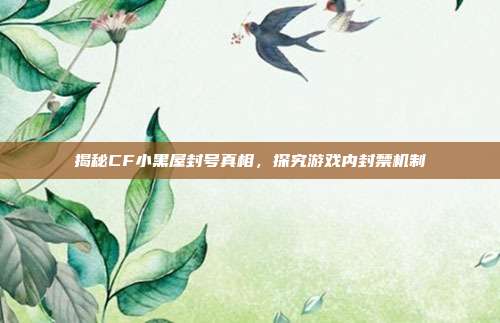 揭秘CF小黑屋封号真相,探究游戏内封禁机制