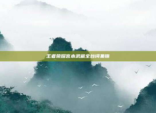 王者荣耀宫本武藏全台词集锦