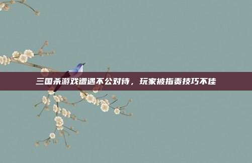 三国杀游戏遭遇不公对待,玩家被指责技巧不佳
