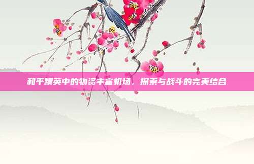 和平精英中的物资丰富机场,探索与战斗的完美结合