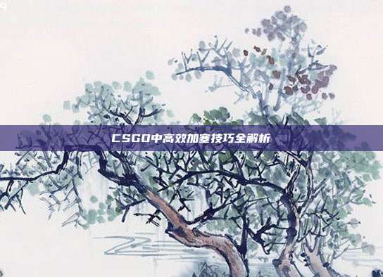 CSGO中高效加塞技巧全解析