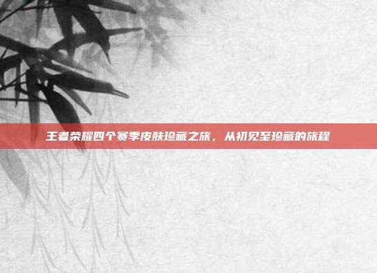 王者荣耀四个赛季皮肤珍藏之旅,从初见至珍藏的旅程