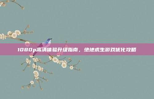 1080p高清体验升级指南,绝地求生游戏优化攻略