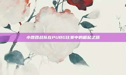小团团战队在PUBG比赛中的崛起之路